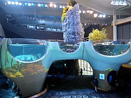 Seattle Acquarium
Photographer;&nbsp;Nick
2025-03-03&nbsp;14.27.30;&nbsp;Metadata time: '2025 Mar 03 14:27'
Original size:&nbsp;4,608 x 3,456; 4,100 kB
Filename: 2025-03-03 14.27.30 IMG Nick - Seattle Acquarium.jpeg