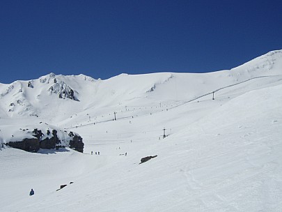 
2007-09-28&nbsp;11.26.50;&nbsp;Metadata time: '2007 Sept 28 11:26'
Original size:&nbsp;3,072 x 2,304; 2,764 kB
Filename: 2007-09-28 11.26.50 P9280108.jpeg