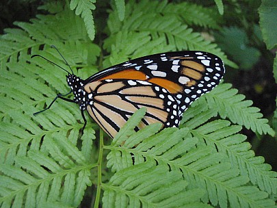 Siân
2011-02-24&nbsp;19.45.59;&nbsp;Metadata time: '2011 Feb 24 19:45'
Original size:&nbsp;3,072 x 2,304; 3,020 kB
Filename: 2011-02-24 19.45.59 P2240004 Siân.jpeg