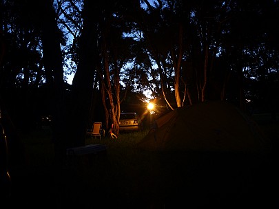 Morison Bush at night
Photographer;&nbsp;Simon
2011-11-25&nbsp;20.08.30;&nbsp;Metadata time: '2011 Nov 25 20:08'
Original size:&nbsp;4,000 x 3,000; 3,648 kB
Filename: 2011-11-25 20.08.30 P1020975 Simon Morison Bush at night.jpeg