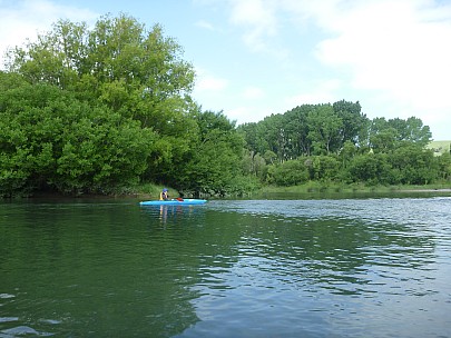 Morison Bush Waiohine Ruahine
Photographer;&nbsp;Simon
2011-11-26&nbsp;15.08.46;&nbsp;Metadata time: '2011 Nov 26 15:08'
Original size:&nbsp;4,000 x 3,000; 6,416 kB
Filename: 2011-11-26 15.08.46 P1020979 Simon Morison Bush Waiohine Ruahine.jpeg