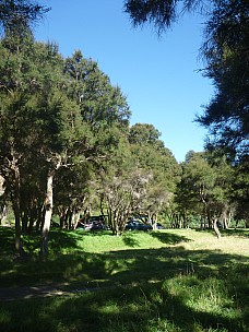 16-24-57 P 1000481 Simon - Camping at Morison Bush
2014-03-01;&nbsp;Metadata time: '2014 Mar 01 16:24'
Original size:&nbsp;3,000 x 4,000; 5,725 kB
Filename: 2014-03-01 16-24-57 P1000481 Simon - Camping at Morison Bush.jpeg