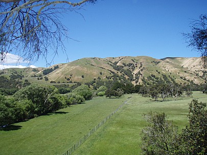 B 297712 Siân - 
2014-11-29&nbsp;14.06.10;&nbsp;Metadata time: '2014 Nov 29 14:06'
Original size:&nbsp;3,072 x 2,304; 2,997 kB
Filename: 2014-11-29 14.06.10 PB297712 Siân - .jpeg