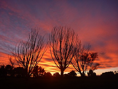 Sunset
Photographer;&nbsp;Simon
2014-11-29&nbsp;20.43.01;&nbsp;Metadata time: '2014 Nov 29 20:43'
Original size:&nbsp;4,000 x 3,000; 5,481 kB
Filename: 2014-11-29 20.43.01 P1000926 Simon - sunset.jpeg