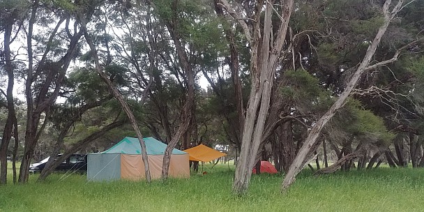 Tents
Photographer;&nbsp;Simon
2020-11-27&nbsp;20.24.38;&nbsp;Metadata time: '2020 Nov 27 20:24'
Original size:&nbsp;4,160 x 2,080; 4,430 kB
Filename: 2020-11-27 20.24.38 LG6 Simon - tents.jpeg