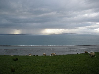 2008-09-27 16.34.19 P9270011-sml.jpeg: 1024x768, 54k (2008 Sept 29 18:51)