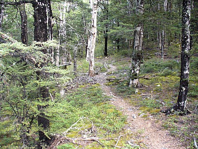 agP1010120.jpeg: 2304x1728, 1524k (2006 Apr 21 17:54)