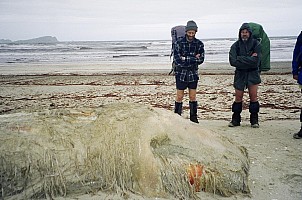 day03-085-065_005-bew.jpeg: 1544x1024, 339k (2006 Dec 20 22:51)