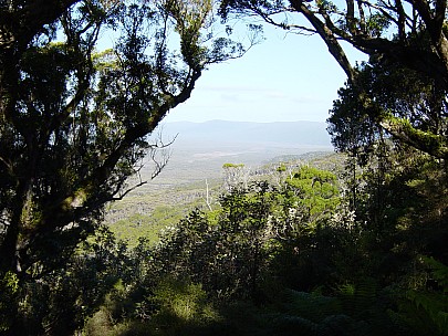 day03-130-dsc00437-jrs.jpeg: 2048x1536, 810k (2006 Dec 22 13:42)