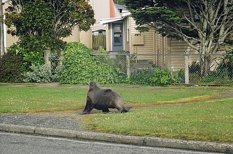 day09-010-096_036-bew.jpeg: 1544x1024, 457k (2006 Dec 20 22:54)