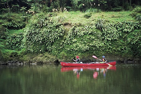 day5-120_14A_0035.jpeg: 1536x1024, 620k (2007 Jan 29 13:55)