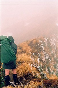 2008-09-06 1 Brian.jpeg: 790x1185, 387k (2008 Sept 25 23:07)