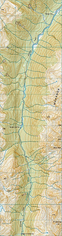 Upper D'Urville Biv to Morgan Hut via George Lyon (Ella) Hut