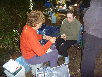 Cathye fixing Sian'sfinger
Photographer;&nbsp;Simon
2011-01-27&nbsp;10.15.33;&nbsp;Metadata time: '2011 Jan 27 10:15'
Original size:&nbsp;4,000 x 3,000; 5,629 kB
Filename: 2011-01-27 10.15.33 P1020067 Simon Cathye fixing Sian'sfinger.jpeg