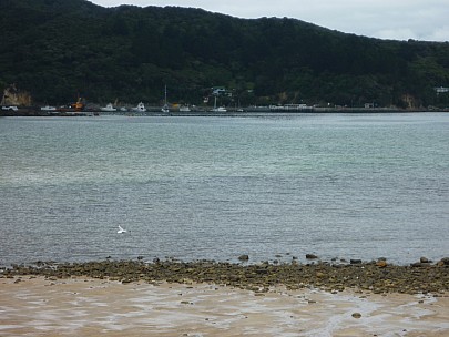 2012-12-28 12.05.40 P1040450 Simon - across to Tryphena Wharf.jpeg: 4000x3000, 6074k (2012 Dec 28 12:05)