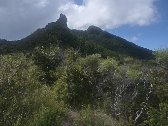 Mt Heale looking back
Photo: Simon
2012-12-29 15.35.55; '2012 Dec 29 15:35'
Original size: 4,000 x 3,000; 6,576 kB
2012-12-29 15.35.55 P1040505 Simon - Mt Heale looking back.jpeg