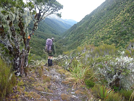 Brian on track into Tutaekuri
Photographer;&nbsp;Simon
2013-04-22&nbsp;12.24.39;&nbsp;Metadata time: '2013 Apr 22 12:24'
Original size:&nbsp;4,000 x 3,000; 7,480 kB
Filename: 2013-04-22 12.24.39 P1050042 Simon - Brian on track into Tutaekuri.jpeg