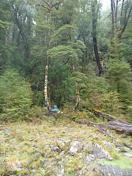 Lunch at the foot of the track out of the Waiheke River
Photographer;&nbsp;Simon
2013-04-24&nbsp;12.07.17;&nbsp;Metadata time: '2013 Apr 24 12:07'
Original size:&nbsp;3,000 x 4,000; 5,795 kB
Filename: 2013-04-24 12.07.17 P1050064 Simon - Lunch at the foot of the track out of the Waiheke River.jpeg