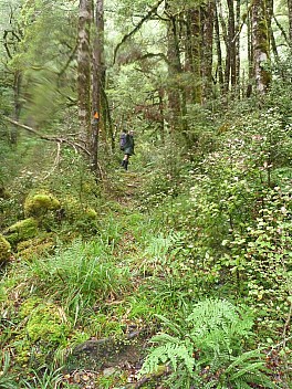 Meeting the pack track
Photographer;&nbsp;Simon
2013-04-24&nbsp;13.06.13;&nbsp;Metadata time: '2013 Apr 24 13:06'
Original size:&nbsp;3,000 x 4,000; 5,682 kB
Filename: 2013-04-24 13.06.13 P1050066 Simon - Meeting the pack track.jpeg