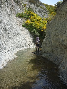 2013-11-15 14.11.20 P1050339 Simon - Conway River gorge.jpeg: 3000x4000, 5935k (2013 Nov 15 14:11)