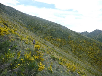 2013-11-15 15.40.46 P1050343 Simon - sidling above Conway River.jpeg: 4000x3000, 6945k (2013 Nov 15 15:40)