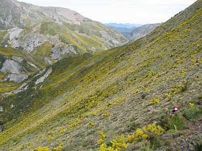 2013-11-15 15.48.52 IMG_2972 Brian - sidling above Conway River looking back.jpeg: 3072x2304, 1413k (2013 Nov 15 15:48)