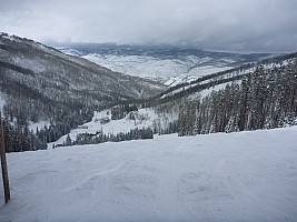 Looking down Ruffed Grouse
Photographer;&nbsp;Simon
2014-02-06&nbsp;13.46.37;&nbsp;Metadata time: '2014 Feb 06 13:46'
Original size:&nbsp;4,000 x 3,000; 5,538 kB
Filename: 2014-02-06 13.46.37 P1000401 Simon - looking down Ruffed Grouse.jpeg