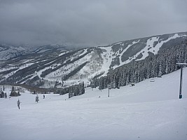 Looking down Larkspur
Photographer;&nbsp;Simon
2014-02-06&nbsp;13.59.58;&nbsp;Metadata time: '2014 Feb 06 13:59'
Original size:&nbsp;4,000 x 3,000; 4,857 kB
Filename: 2014-02-06 13.59.58 P1000402 Simon - looking down Larkspur.jpeg