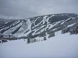 View of Grouse Mountain from Larkspur
Photographer;&nbsp;Simon
2014-02-06&nbsp;14.14.36;&nbsp;Metadata time: '2014 Feb 06 14:14'
Original size:&nbsp;4,000 x 3,000; 5,116 kB
Filename: 2014-02-06 14.14.36 P1000407 Simon - view of Grouse Mountain from Larkspur.jpeg
