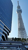 Skytree
Photographer;&nbsp;Jim
2015-02-19&nbsp;12.39.36;&nbsp;Metadata time: '2015 Feb 19 12:39'
Original size:&nbsp;2,976 x 5,312; 5,159 kB
Filename: 2015-02-19 12.39.36 Jim - Skytree.jpeg