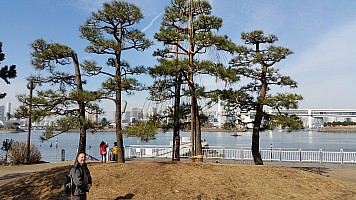 Tokyo - in around Odaiba Park - Simon and supported tree
Photographer;&nbsp;Jim
2015-02-07&nbsp;11.19.30;&nbsp;Metadata time: '2015 Feb 07 11:19'
Original size:&nbsp;5,312 x 2,988; 7,448 kB
Filename: 2015-02-07 11.19.30 Jim - Tokyo - in around Odaiba Park - Simon and supported tree.jpeg