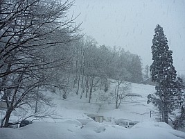 Snowy view from Jim's window
Photographer;&nbsp;Simon
2015-02-08&nbsp;17.03.35;&nbsp;Metadata time: '2015 Feb 08 17:03'
Original size:&nbsp;4,000 x 3,000; 5,583 kB
Filename: 2015-02-08 17.03.35 P1010346 Simon - snowy view from Jim's window.jpeg