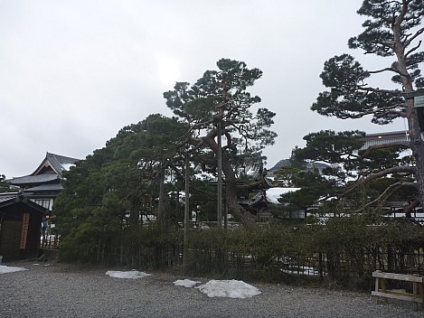 Zenko-ji temple trees
Photographer;&nbsp;Simon
2015-02-13&nbsp;15.05.42;&nbsp;Metadata time: '2015 Feb 13 15:05'
Original size:&nbsp;4,000 x 3,000; 5,671 kB
Filename: 2015-02-13 15.05.42 P1010535 Simon - Zenko-ji temple trees.jpeg