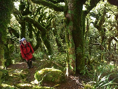 2015-05-31 10.01.32 P1010947 Simon - Bruce in mossy trees_adj.jpeg: 4000x3000, 7369k (2015 Jun 14 17:10)