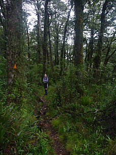 2015-07-04 09.41.46 P1010974 Simon - Bruce waiting on flats.jpeg: 3000x4000, 5839k (2015 Nov 04 18:29)