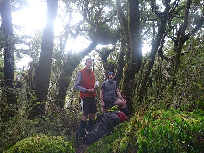 2015-07-04 11.23.42 P1010979 Simon - rest stop on Cone Ridge.jpeg: 4000x3000, 7151k (2015 Nov 04 18:30)