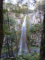 Southern South Branch Temple Stream