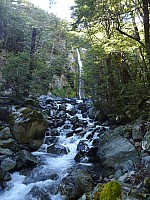 Southern South Branch Temple Stream