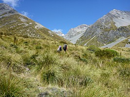 Southern South Branch Temple Stream