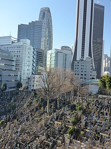 Cemetery
Photographer;&nbsp;Simon
2016-03-03&nbsp;08.35.40;&nbsp;Metadata time: '2016 Mar 03 08:35'
Original size:&nbsp;3,456 x 4,608; 5,336 kB
Filename: 2016-03-03 08.35.40 P1000852 Simon - cemetery Q2.jpeg