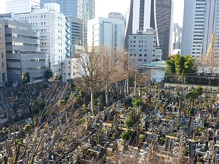 Shinjuku architecture
Photographer;&nbsp;Simon
2016-03-03&nbsp;08.33.50;&nbsp;Metadata time: '2016 Mar 03 08:33'
Original size:&nbsp;4,608 x 3,456; 6,121 kB
Filename: 2016-03-03 08.33.50 P1000846 Simon - Shinjuku architecture.jpeg