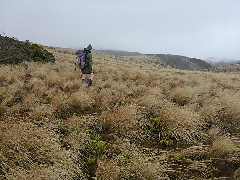 Brian looking to our route on far ridge
Photographer;&nbsp;Simon
2016-10-29&nbsp;14.37.51;&nbsp;Metadata time: '2016 Oct 29 14:37'
Original size:&nbsp;4,608 x 3,456; 6,621 kB
Filename: 2016-10-29 14.37.51 P1010043 Simon - Brian looking to our route on far ridge.jpeg