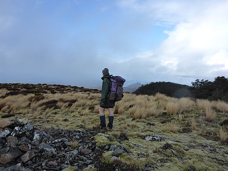 Brian on ridge looking north
Photographer;&nbsp;Simon
2016-10-29&nbsp;16.41.56;&nbsp;Metadata time: '2016 Oct 29 16:41'
Original size:&nbsp;4,608 x 3,456; 6,076 kB
Filename: 2016-10-29 16.41.56 P1010046 Simon - Brian on ridge looking north.jpeg