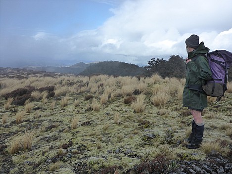 Brian on ridge looking north
Photographer;&nbsp;Simon
2016-10-29&nbsp;16.42.25;&nbsp;Metadata time: '2016 Oct 29 16:42'
Original size:&nbsp;4,608 x 3,456; 6,488 kB
Filename: 2016-10-29 16.42.25 P1010048 Simon - Brian on ridge looking north.jpeg