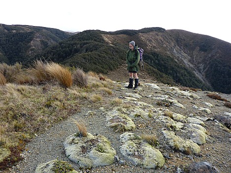 Brian on ridge looking south
Photographer;&nbsp;Simon
2016-10-29&nbsp;17.16.51;&nbsp;Metadata time: '2016 Oct 29 17:16'
Original size:&nbsp;4,608 x 3,456; 6,182 kB
Filename: 2016-10-29 17.16.51 P1010049 Simon - Brian on ridge looking south.jpeg