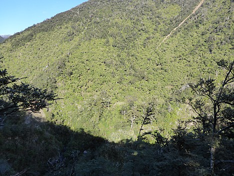 Dianes hut from track
Photographer;&nbsp;Simon
2016-10-30&nbsp;08.22.23;&nbsp;Metadata time: '2016 Oct 30 08:22'
Original size:&nbsp;4,608 x 3,456; 6,647 kB
Filename: 2016-10-30 08.22.23 P1010058 Simon - Dianes hut from track.jpeg