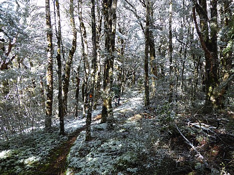 Snow off No Mans Road
Photographer;&nbsp;Brian
2016-10-30&nbsp;09.51.08;&nbsp;Metadata time: '2016 Oct 30 09:51'
Original size:&nbsp;4,000 x 3,000; 4,978 kB
Filename: 2016-10-30 09.51.08 P1000561 Brian - snow off No Mans Road.jpeg