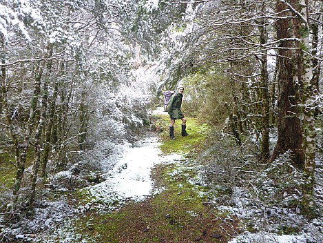 Brian in snow on the track
Photographer;&nbsp;Simon
2016-10-30&nbsp;10.08.52;&nbsp;Metadata time: '2016 Oct 30 10:08'
Original size:&nbsp;4,608 x 3,456; 6,303 kB
Filename: 2016-10-30 10.08.52 P1010061 Simon - Brian in snow on the track.jpeg