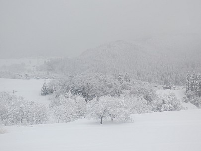 2017-01-17 07.48.51 IMG_8673 Anne - view from bus to Iiyama Station.jpeg: 4608x3456, 4546k (2017 Jan 26 18:35)