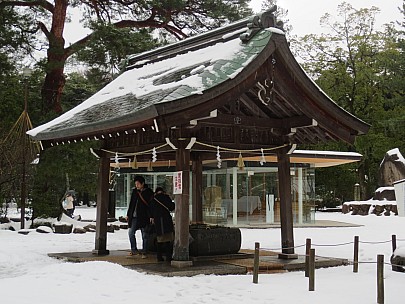 2017-01-17 10.01.44 IMG_8701 Anne - purification.jpeg: 4608x3456, 5877k (2017 Jan 26 18:35)